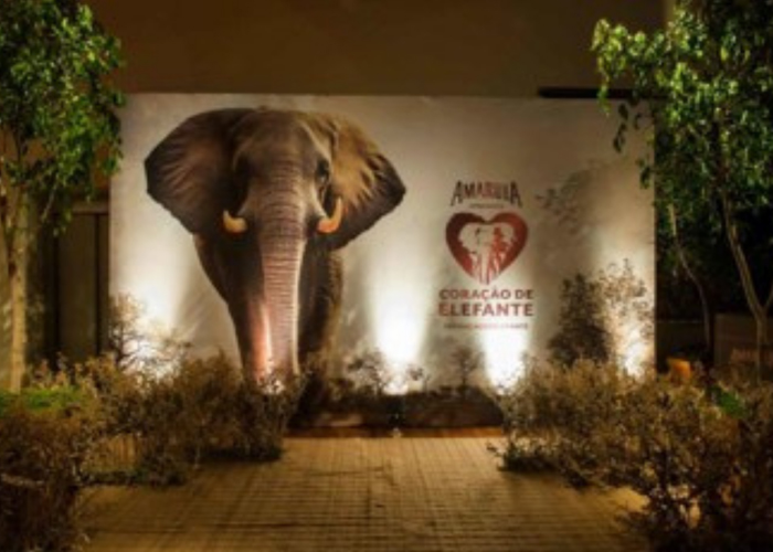 Amarula | Planejamento e lançamento da campanha Coração de Elefante